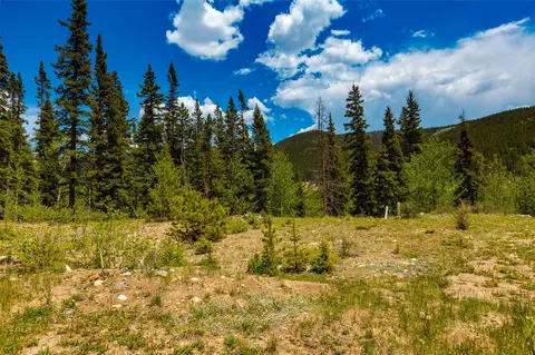 522 Quartzville Rd, Alma, CO 80420