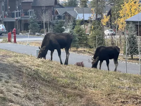 Other - 99 Independence Rd, Keystone, CO 80435 photo 9 of 11