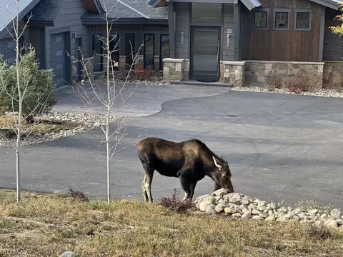 Other - 99 Independence Rd, Keystone, CO 80435 photo 10 of 11