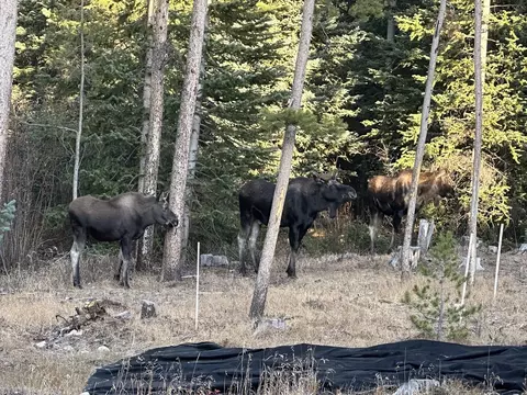 Other - 99 Independence Rd, Keystone, CO 80435 photo 11 of 11