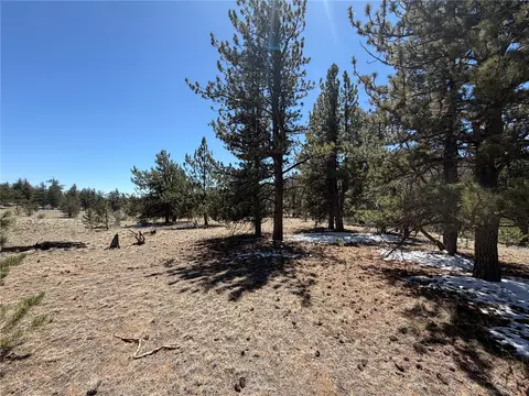 204 Opal Dr, Hartsel, CO 80449 photo 9
