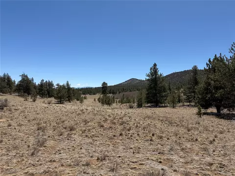 204 Opal Dr, Hartsel, CO 80449 photo 15