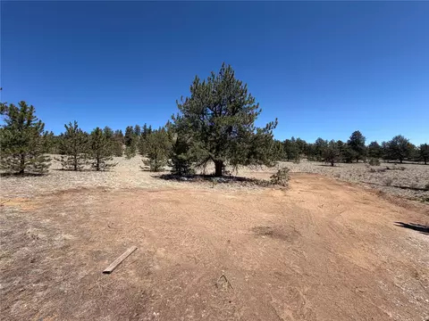204 Opal Dr, Hartsel, CO 80449 photo 8