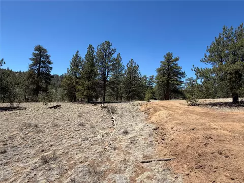 204 Opal Dr, Hartsel, CO 80449 photo 18