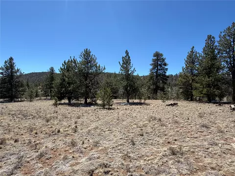 204 Opal Dr, Hartsel, CO 80449 photo 17