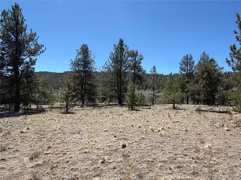 204 Opal Dr, Hartsel, CO 80449 photo 20