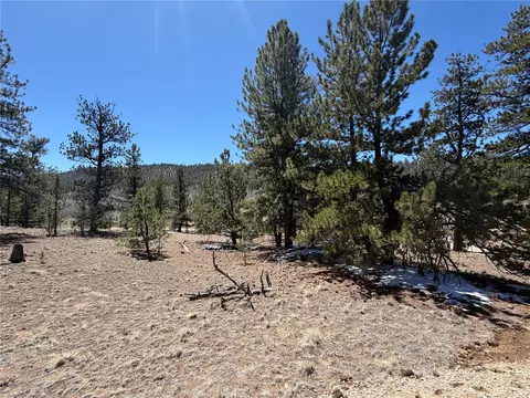 204 Opal Dr, Hartsel, CO 80449 photo 5