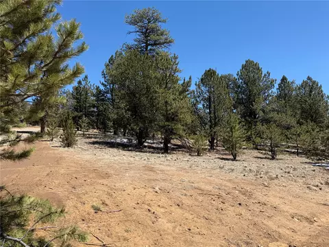 204 Opal Dr, Hartsel, CO 80449 photo 3