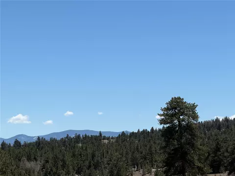 204 Opal Dr, Hartsel, CO 80449 photo 16
