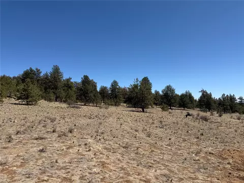 204 Opal Dr, Hartsel, CO 80449 photo 14