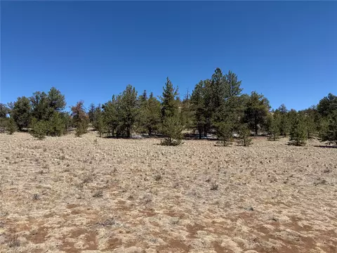 204 Opal Dr, Hartsel, CO 80449 photo 13