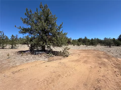 204 Opal Dr, Hartsel, CO 80449 photo 10