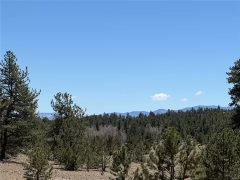 204 Opal Dr, Hartsel, CO 80449 photo 19