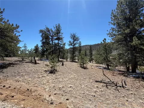 204 Opal Dr, Hartsel, CO 80449 photo 6