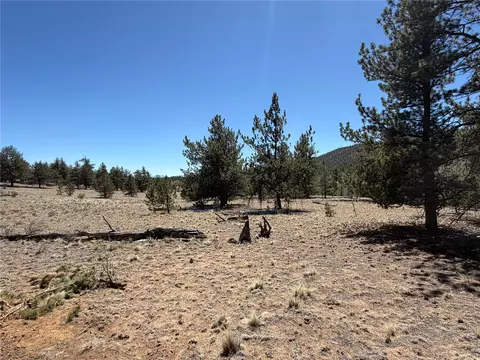204 Opal Dr, Hartsel, CO 80449 photo 11