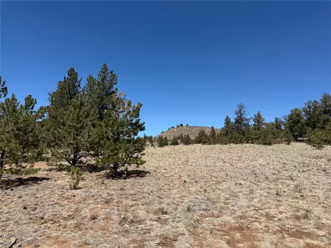 204 Opal Dr, Hartsel, CO 80449 photo 12