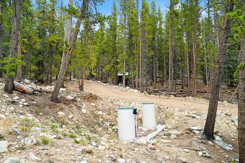 3259 Nugget Rd, Fairplay, CO 80440