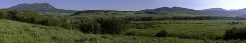 42235 Story Teller Ln, Steamboat Springs, CO 80487
