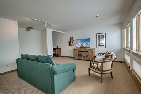 Living - 446 Rodeo Dr, Silverthorne, CO 80498 photo 7 of 7