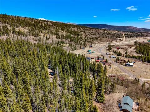 270 Co Rd 667, Alma, CO 80440