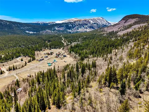 270 Co Rd 667, Alma, CO 80440