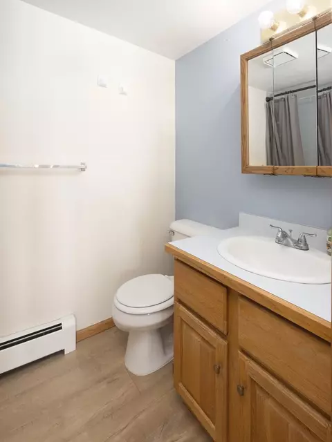 Bath - 545 Tanglewood Ln, Silverthorne, CO 80498 photo 3 of 4