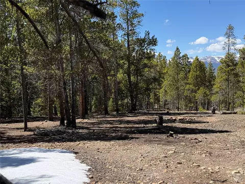 966 Lady Alice, Leadville, CO 80461