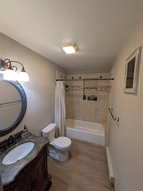 Bath - 216 Climax Dr, Dillon, CO 80435 photo 5 of 5