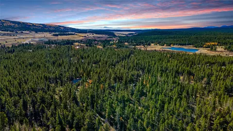 235 Willow Ln, Alma, CO 80440
