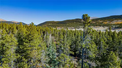 235 Willow Ln, Alma, CO 80440