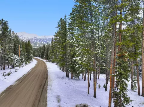 207 Cr 528, Breckenridge, CO 80424