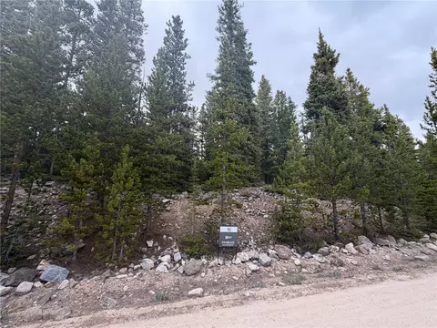 367 Puma Pl, Fairplay, CO 80440