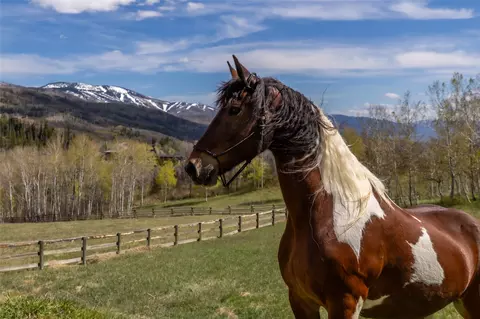 31775 Bradley Rnch, Steamboat Springs, CO 80487