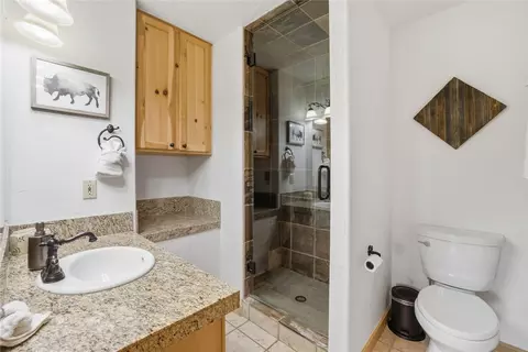 1701 Cutty Sark Ct, Silverthorne, CO 80498 photo 36