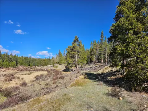 Pcs #7765 & 12057 Rollies Trail, Alma, CO 80420