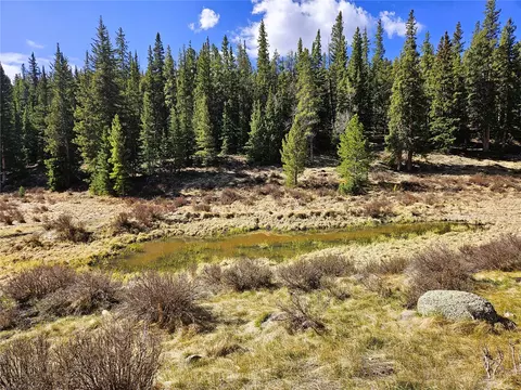 Pcs #7765 & 12057 Rollies Trail, Alma, CO 80420