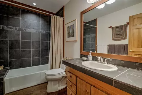 Bath - 361 Lakeshore Loop, Blue River, CO 80424 photo 6 of 6