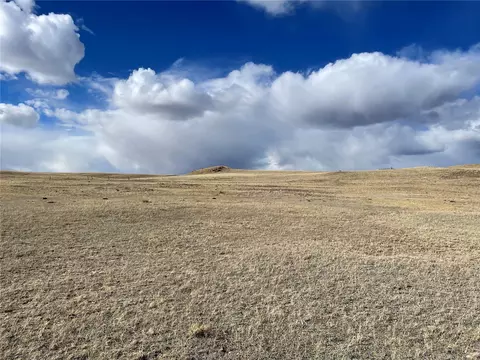 305 Badger Ln, Hartsel, CO 80449
