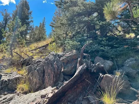 Other - 71 Red Cloud Dr, Jefferson, CO 80456 photo 19 of 27