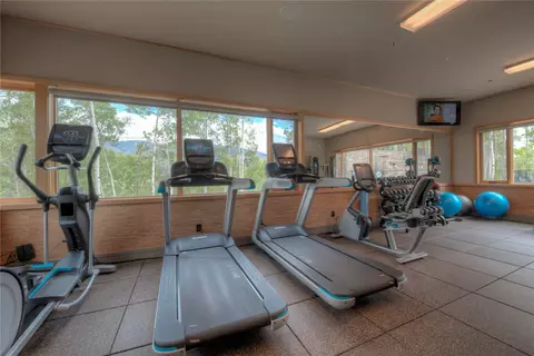 Other - 151 Moss Way, Silverthorne, CO 80498 photo 10 of 11
