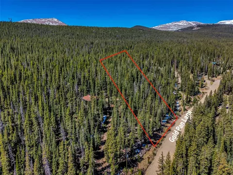 880 Gold Pane Ln, Fairplay, CO 80440