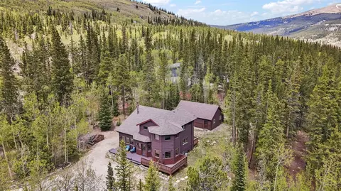 366 Quartzville Rd, Alma, CO 80420