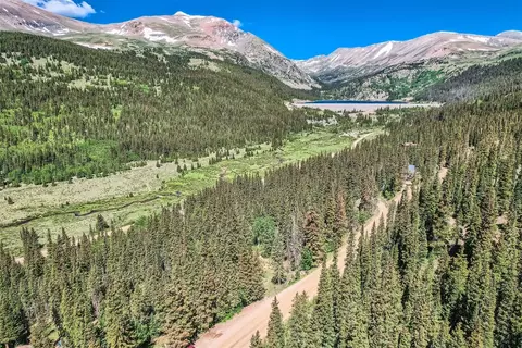 553 Nuthatch Dr, Alma, CO 80440