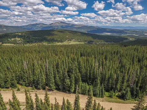 726 Prunes Pl, Fairplay, CO 80440