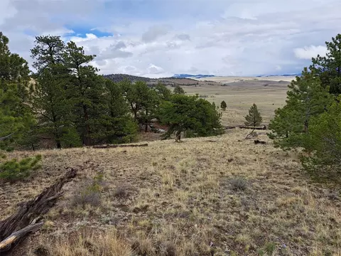 783 Remuda, Hartsel, CO 80449