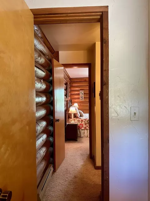 312 Bowstring Rd, Como, CO 80432 photo 27