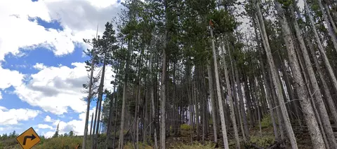 193 Blue Ridge Rd, Breckenridge, CO 80424