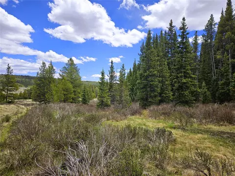Pcs #10594 Looney Lane, Alma, CO 80420
