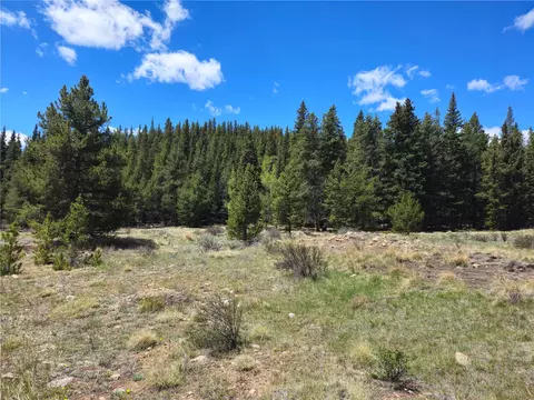 Pcs #10594 Looney Lane, Alma, CO 80420