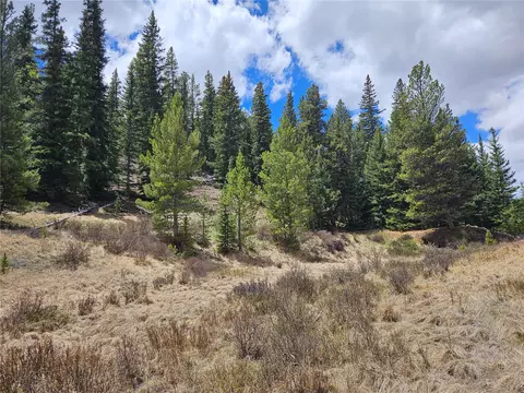 Pcs #10594 Looney Lane, Alma, CO 80420